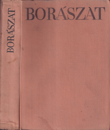 Rakcsányi László (Szerk.) - Borászat