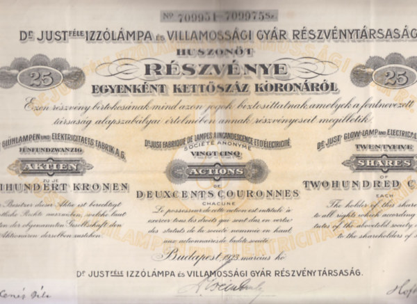 Dr. Just-féle Izzólámpa és Villamossági Gyár Részvénytársaság Részvénye (többnyelvű)- történelmi értékpapír, eredeti