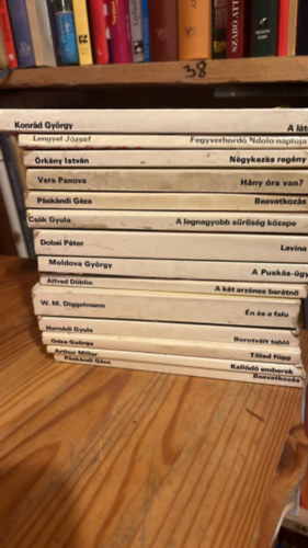 14 db RaRe (Rakéta Regény)