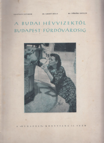 Lestyn Sndor, Gro Bla dr. (szerk.), dr. Trk Istvn - A budai hvvizektl Budapest frdvrosig