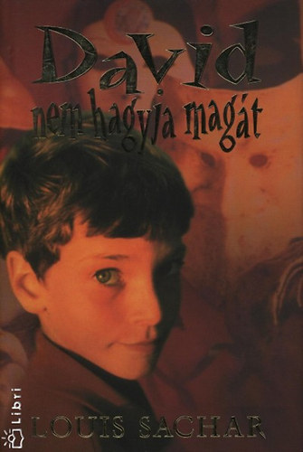 Louis Sachar - David nem hagyja magát