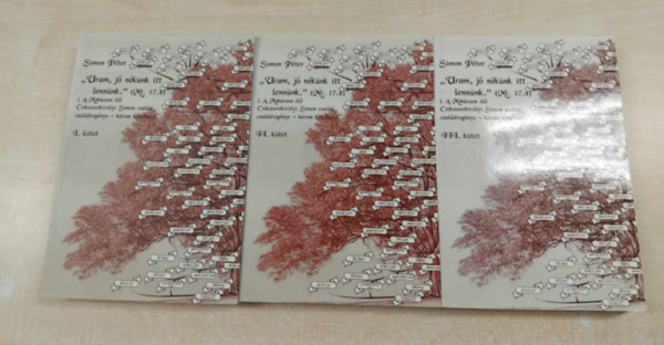 Simon Pter - "Uram, j nknk itt lennnk." A Mohcson l Cskszentkirlyi Simon csald csaldregnye I-III.