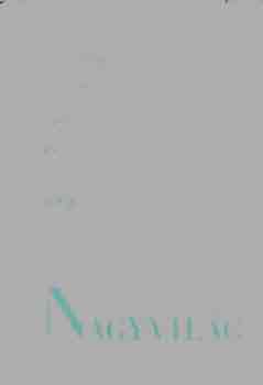 F�y �rp�d v�logatta - Nagyvil�g (Mai k�lf�ldi elbesz�l�k)