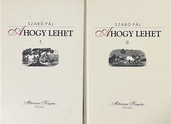 Szabó Pál - Ahogy lehet I-II.