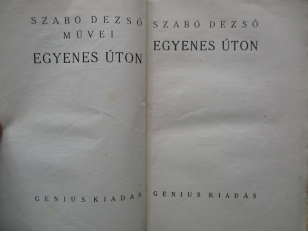 Szab Dezs - Egyenes ton