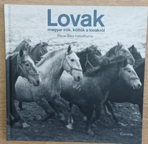 Lovak - Magyar rk, kltk a lovakrl