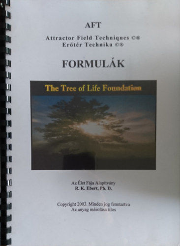 AFT Attractor Field Techniques- Ertr Technika - Formulk