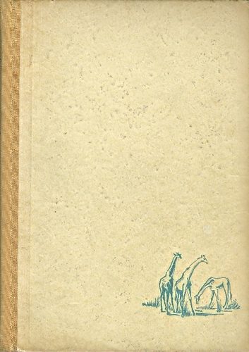 Dénes István - Így láttam Afrikát