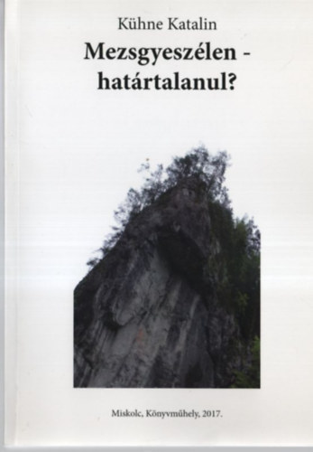 Kühne Katalin - Mezsgyeszélen-határtalanul?