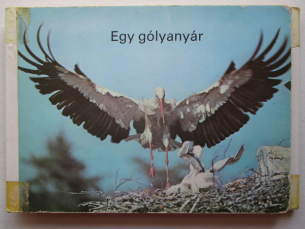 Harald Lange - Egy glyanyr