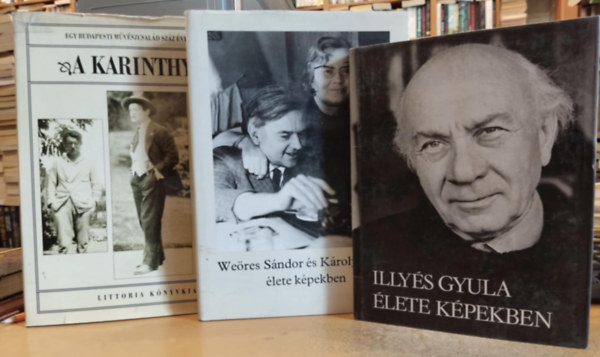 Illys Gyula, Sznt Tibor, Weres Sndor, Krolyi Amy, Hubay Mikls - 3 db Illys Gyula lete kpekben + Weres Sndor s Krolyi Amy lete kpekben + A Karinthyak (Egy Budapesti mvszcsald szz ve kpekben)