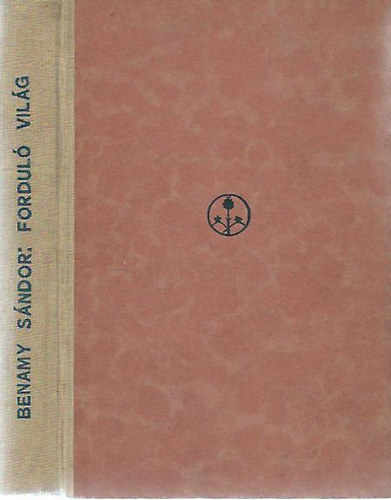 Benamy Sndor - Fordul vilg
