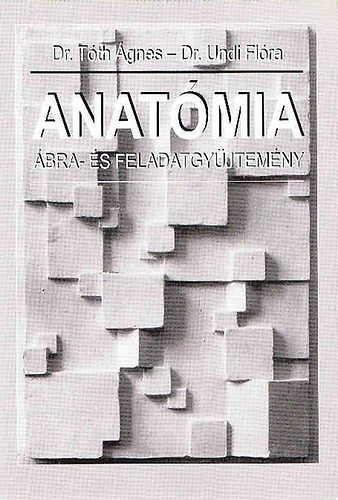 Dr. T�th �gnes; Dr. Undi Fl�ra - Anat�mia �bra- �s feladatgy�jtem�ny