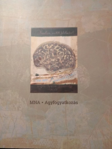M. Novk Andrs - Agyfogyatkozs