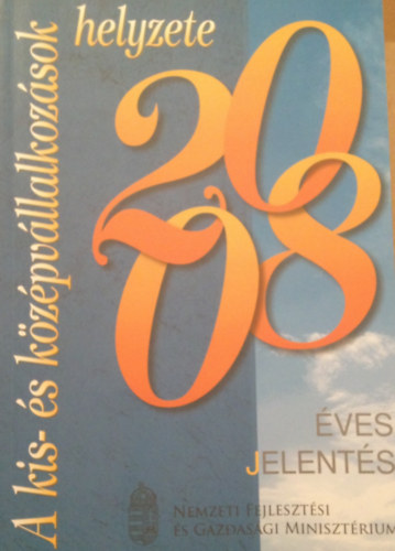 A kis- s kzpvllalkozsok helyzete 2008