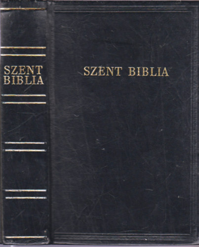 Szent Biblia azaz: Istennek  s j testamentomban foglaltatott egsz Szent rs