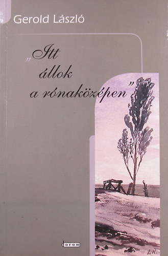 Gerold László - "Itt állok a rónaközépen" Tanulmányok, esszék, kritikák XIX. századi irodalmunkról