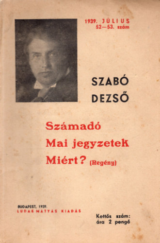 Szabó Dezső - Számadó - Mai jegyzetek - Miért? (regény)