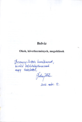 Patay Istvn - Belvz- Okok, kvetkezmnyek, megoldsok- Dediklt