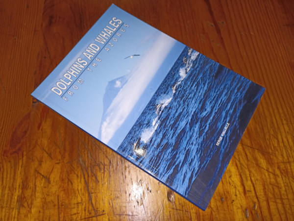 Dolphins and Whales