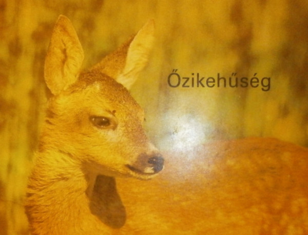 Erni Simmich - zikehsg