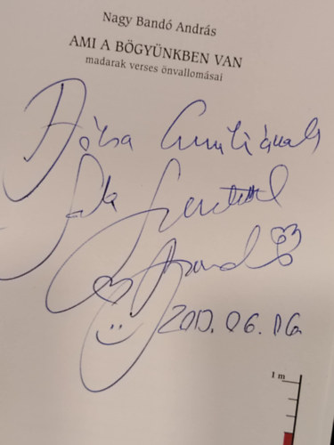 Nagy Bandó András - Ami a bögyünkben van