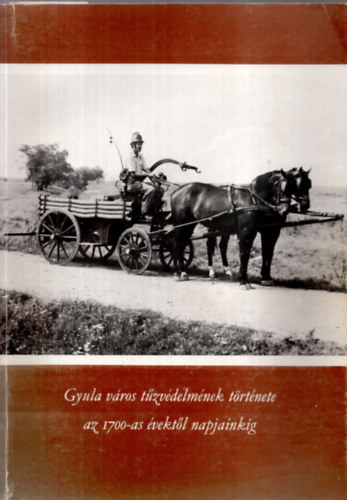 D. Nagy Andrs, Dr. Mray Gyrgy, Szllsi Pl - Gyula vros tzvdelmnek trtnete az 1700-as vektl napjainkig