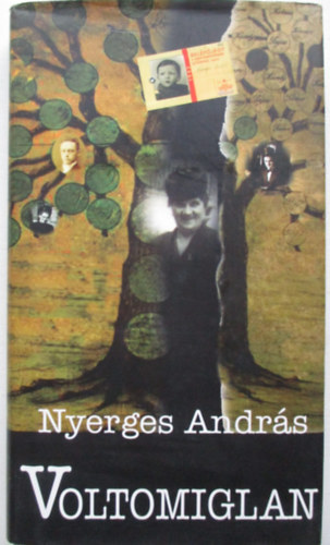 Nyerges Andrs - Voltomiglan