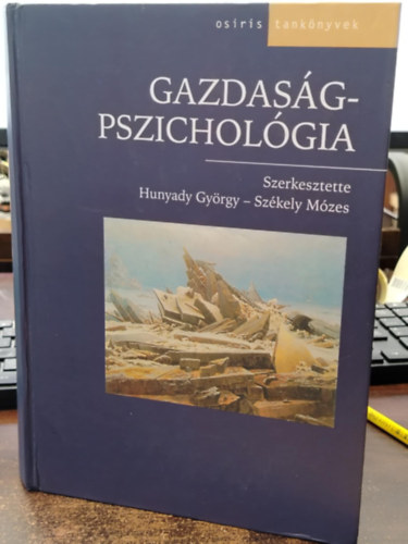Hunyady Gyrgy (Szerk.); Szkely Mzes (Szerk.) - Gazdasgpszicholgia