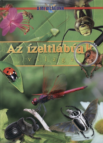 Bancsi Pter - Az zeltlbak vilga - A mi vilgunk