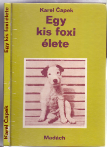 Capek Karel - Egy kis foxi �lete