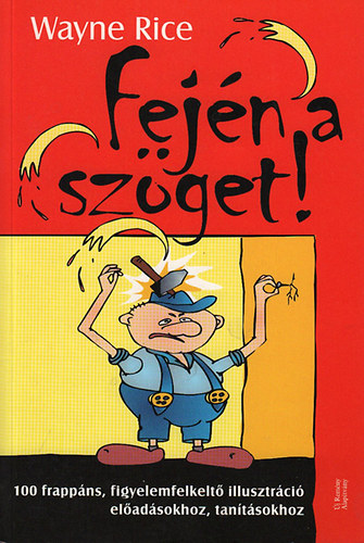 Wayne Rice - Fejn a szget - 100 frappns, figyelemfelkelt illusztrci eladsokhoz, tantsokhoz