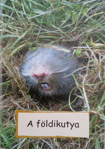 Dr. Horváth Róbert, Vadnay Réka - A földikutya