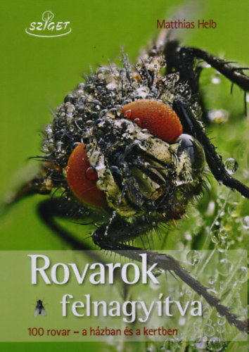 Matthias Helb - Rovarok felnagytva