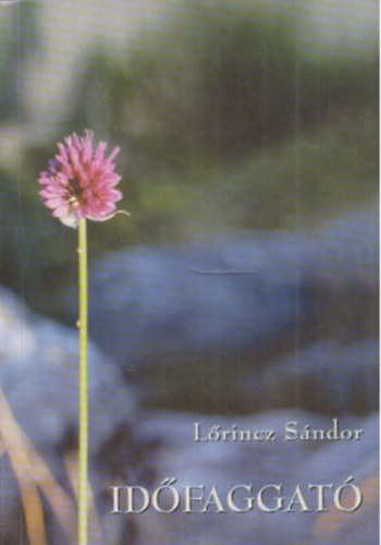 Lőrincz Sándor - Időfaggató / Rövid írások /