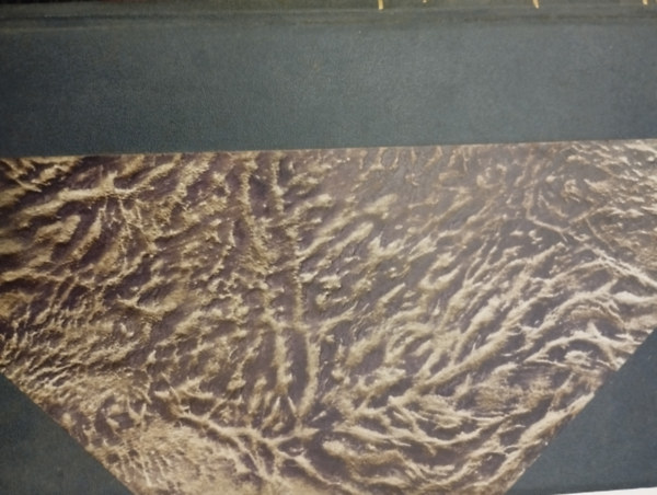 Richard Schott, G. Elek Am�lia - Az �serd� cserk�sze - Afrikai reg�ny