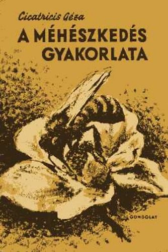 Cicatricis Gza - A mhszkeds gyakorlata