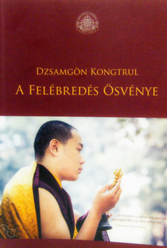 Dzsamgn Kongtrul Lodr Tay - A Felbreds svnye