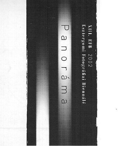 Panorma - XIII. Esztergomi Fotogrfiai Biennl 2002
