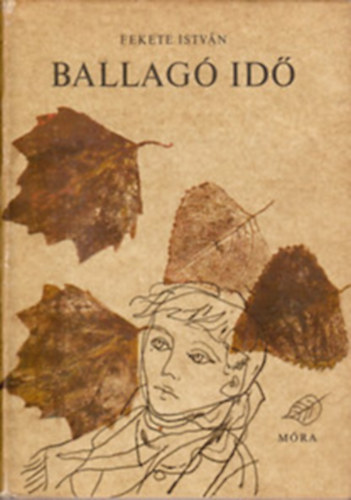 Fekete Istv�n - Ballag� id� - W�rtz �d�m rajzaival (Fekete Istv�n M�vei)