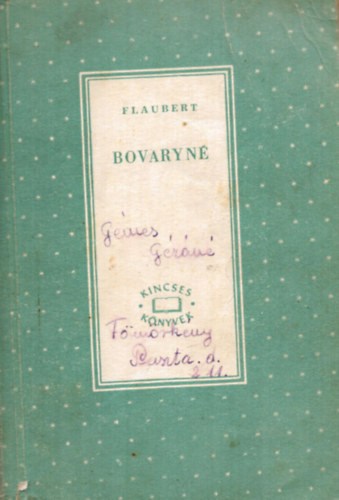 Gustave Flaubert - Bovaryné