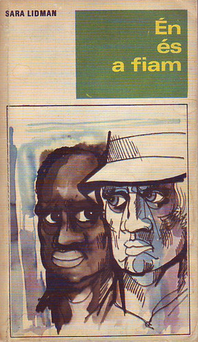 Sara Lidman - Én és a fiam