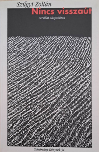 Sz�gyi Zolt�n - Nincs vissza�t