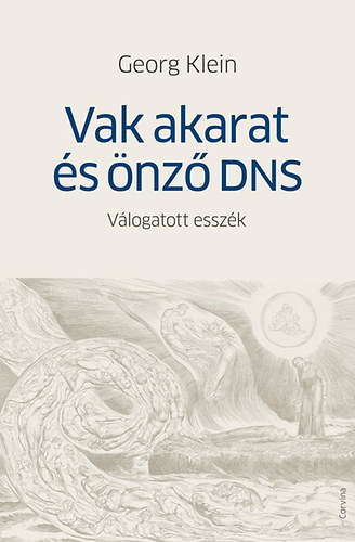 Georg Klein - Vak akarat s nz DNS