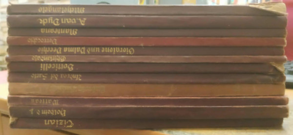 12 db Künstler-Monographien: Michelangelo + A. Van Dyck + Mantegna + Verrocchio + Giorgione und Palma Vecchio + Ghirlandaio + Botticelli + Andrea del Sarto + Ludwig Richter + Watteau + Holbein der Jüngere + Tizian