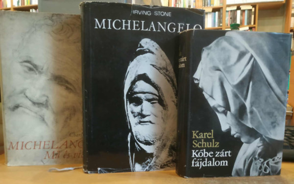 Karel Schulz, Irving Stone, Charles de Tolnay - 3 db festészet-művészet: Kőbe zárt fájdalom + Michelangelo + Michelangelo: Mű és világkép