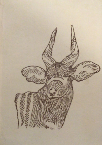 Szuhai Istv�n - Piga, piga!