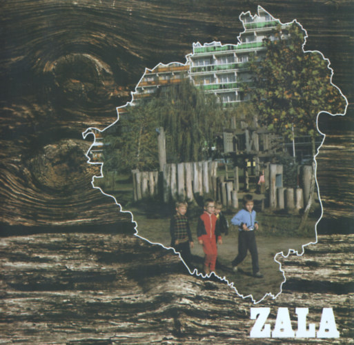 Moldovn Tams (szerk.), Lackner Lszl (szerk.) - Zala megye