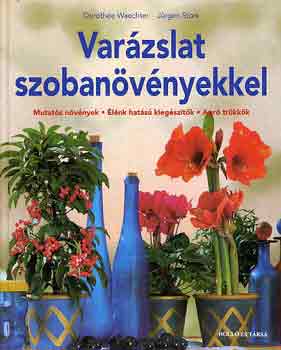 Jrgen-Waechter Dorothe Stork - Varzslat szobanvnyekkel