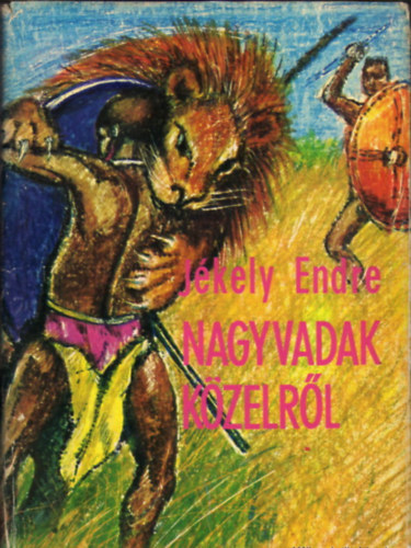Jkely Endre - Nagyvadak kzelrl